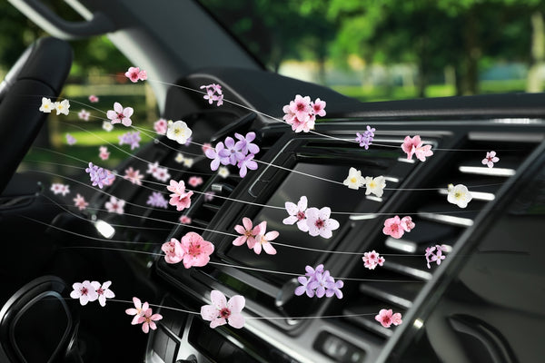 Parfum Éliminateur d'Odeur pour Voiture