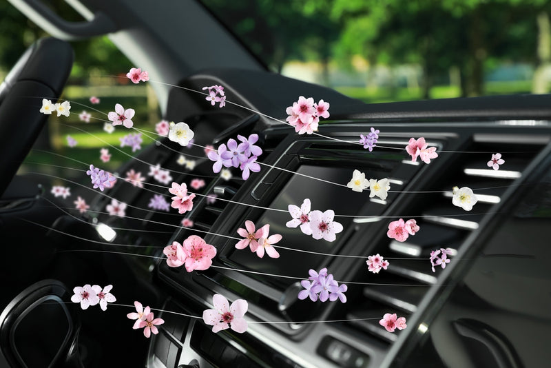 Parfum Éliminateur d'Odeur pour Voiture
